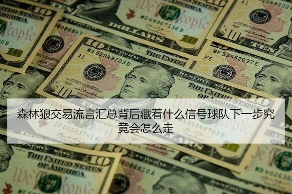 森林狼交易流言汇总背后藏着什么信号球队下一步究竟会怎么走